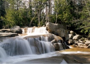 Summer in New Hampshire